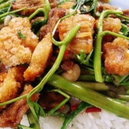 KH02.52 ผัดไฟแดงกระเฉด 50 กรัม หมูกรอบ 50 กรัม ราดช้าว