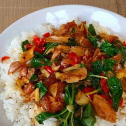 ข้าวกะเพราขาหมู