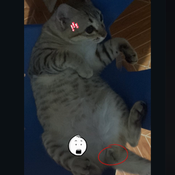 ป้านิดขนมจีนรสเด็ด