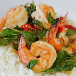 ผัดกระเพรากุ้งราดข้าว