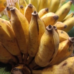 วันนี้มีดิบ