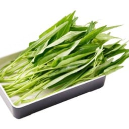 ผักบุ้ง