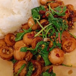 มโหฬารการกะเพรา สาขาปตท.สายไหม56