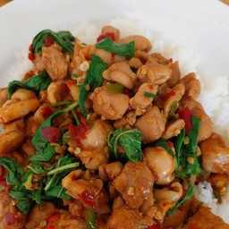 ผัดกระเพราไก่ราดข้าว