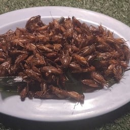 ครัวอีสาน ตลาด OM Night Market