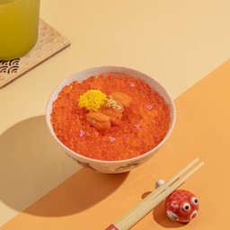 Ikura mini don