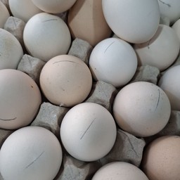 ไข่ข้าว 6 ฟอง