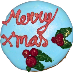 Merry X'mas royal icing cookie