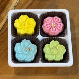 สำปันนี