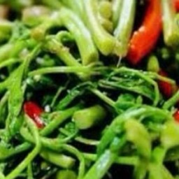 Ki02.03 ผัดไฟแดงกระเฉด