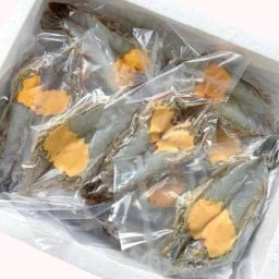 คิง ออฟ ซี king of sea RT-Shop สาขาอ่อนนุช