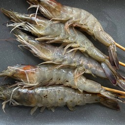 กุ้ง