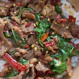 กะเพราเนื้อชิ้นโคขุนไข่ดาว