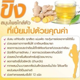 น้ำขิงร้อน