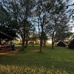 ลานกางเต้นท์ ไร่ภูผาตะวันดาว