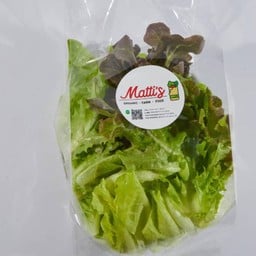 สลัดมิกซ์ 100 กรัม (organic)