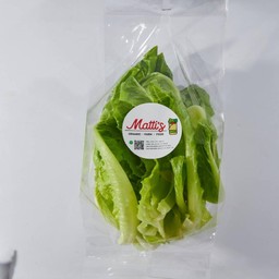 ผักคอส ออร์แกนิก (organic)