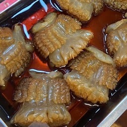 แมงกะพรุนหัวกระสุน