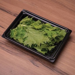 มิซูน่า