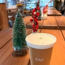 Timo