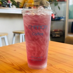 เนสทีองุ่นเคียวโฮ