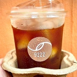 [ Light Roast ] Panama Longboard Fennario Catuai