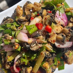 ก้อยหอย