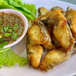 ปลานิลแดดเดียว