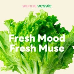 Wonnie Veggie