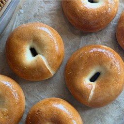 Plain Bagel