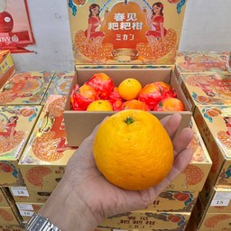 ส้มจุกซูโม้ 3.5-4กก./กล่อง