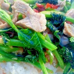 ผัดคะน้าหมูชิ้นราดข้าว