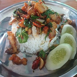 ข้าวกะเพาหมูกรอบ