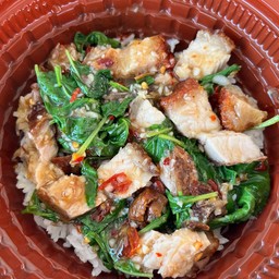 ข้าว กะเพราหมูกรอบ ( หมูกรอบ 50 g.)
