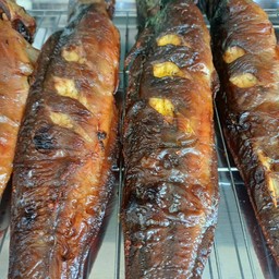 ปลาดุกย่าง