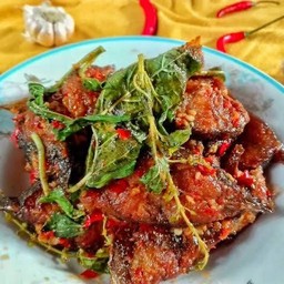 กระเพราปลาดุก