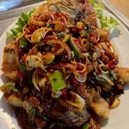 ปลาทับทิมลุยสวน