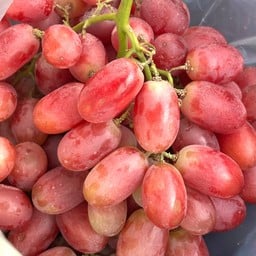 ครัวบนหอ Apex