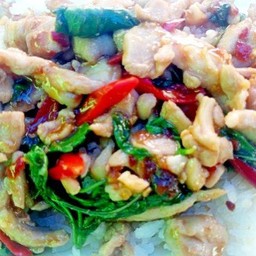 ข้าวกะเพราไก่