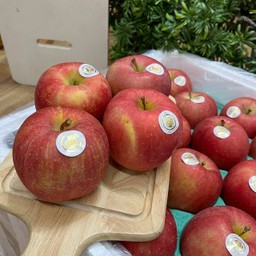 แอปเปิ้ลแดง ชินาโนะสวีท ญี่ปุ่น 1 ผล