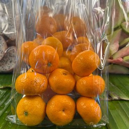 ส้ม (ซาถัง)