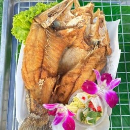 กะเทยทอดกระพง