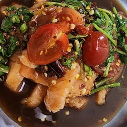 (S4)เกาหลาแซลมอน