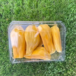 ขนุนพร้อมทาน