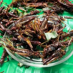 เต๊นท์แดง แมลงทอด สาขา แม่เหียะ