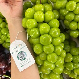 ร้านผลไม้เชียงใหม่ ยายพลอย ตลาดเจริญเจริญ