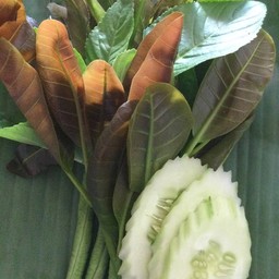 ผักสด กำ