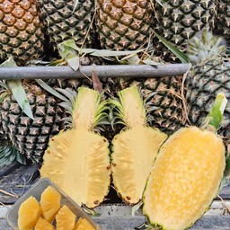 สับปะรดศรีราชา 1 หัว