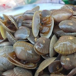 มาลอง ดองหอย