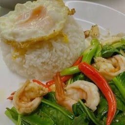 คะน้ากุ้ง